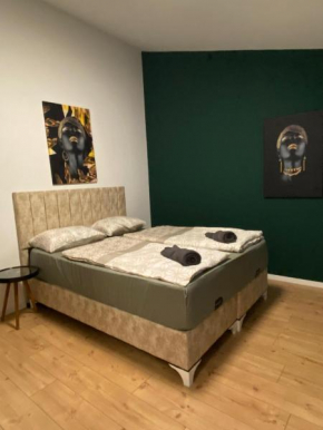 7 min to Hauptbahnhof- cozy Studio Apartment
